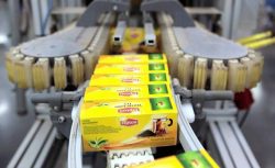 Lipton Çay Türkiye’de üretimi bıraktı